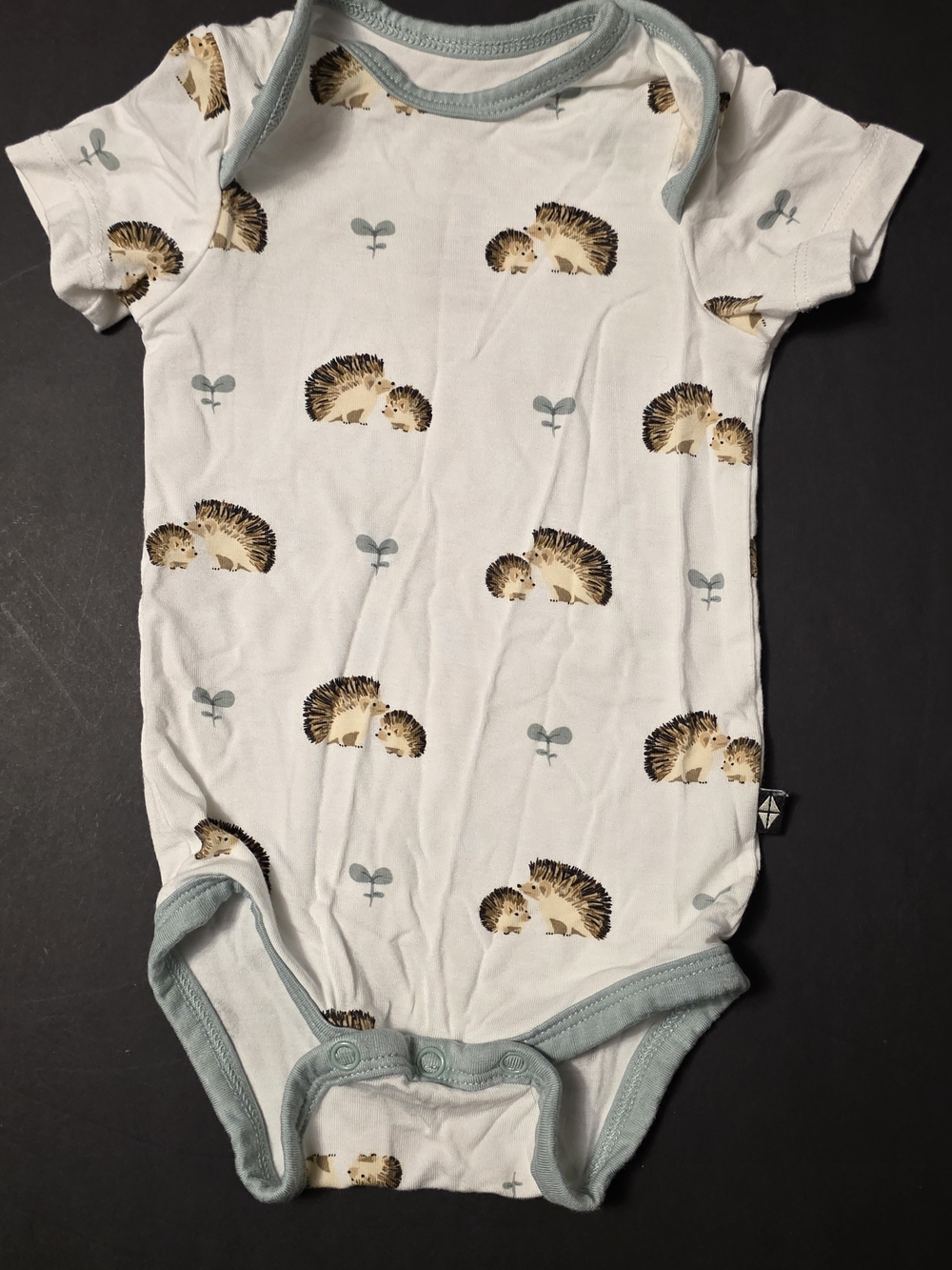 Kyte BABY White One-Piece Bodysuit with Brown Hedgehog Print and Light Blue Trim